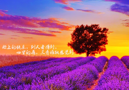 以勤奋写一篇演讲稿