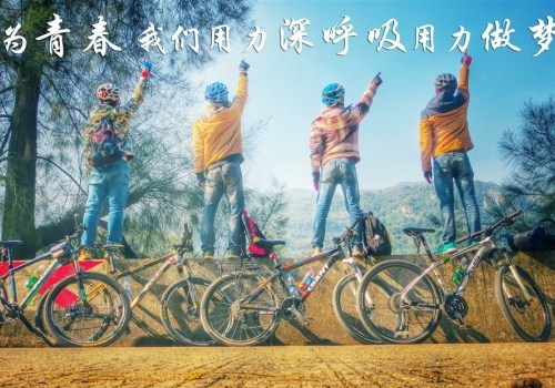 描写华山之险的诗句