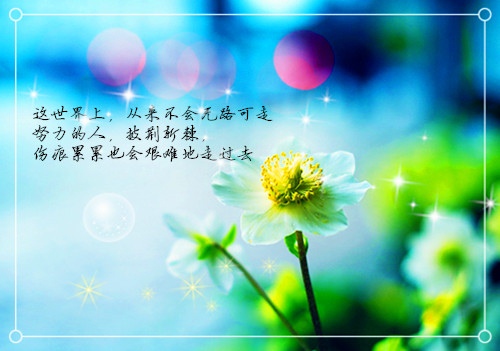 关于孙杨的演讲稿