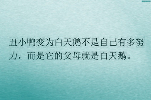 奋斗的青春演讲稿300字