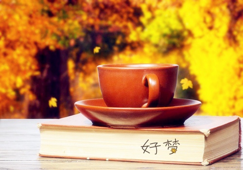 适合写卡片的温暖句子