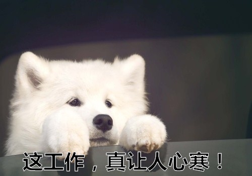 大学生就业形式的演讲稿