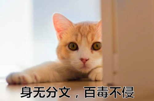 大学的纪律委员竞职演讲稿