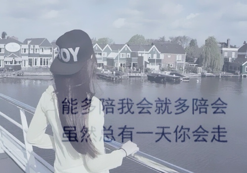 整合技术的学科教学知识读后感