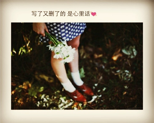 课外阅读摘抄加读后感
