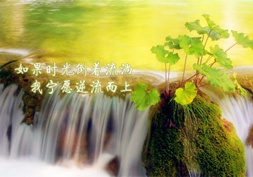 中学生小组合作演讲稿