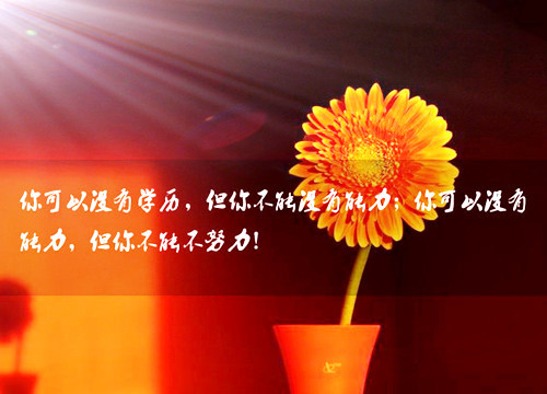 党纪条规演讲稿