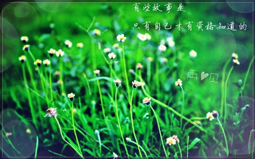 寒冷高中演讲稿