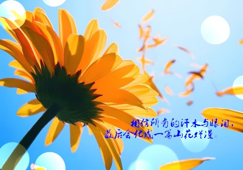 演讲稿我读书的感受200字