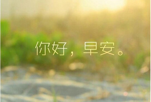 英语描写动物的单词和句子