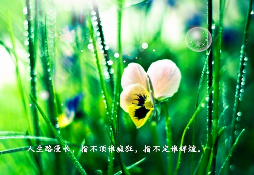 倩女比武招亲台词