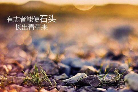 国税局牢记使命忆初心演讲稿