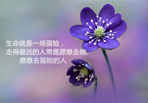关于防新型冠状病毒演讲稿