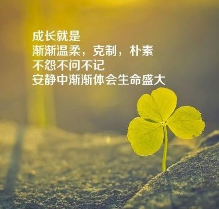 关于中职教师教育方面的演讲稿
