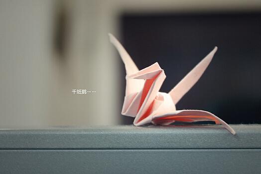 三年级班级文化演讲稿