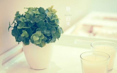责任与担当演讲稿邮政