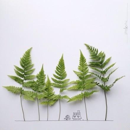 跳绳演讲稿50字