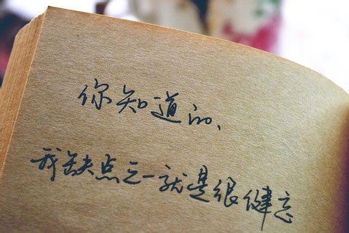 中学生爱国主义演讲稿精选