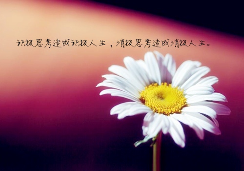 小记者毕业演讲稿