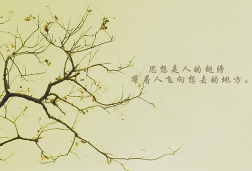 圣诞节是送什么的