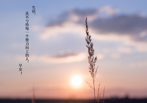 圣诞祝福语简短一句话