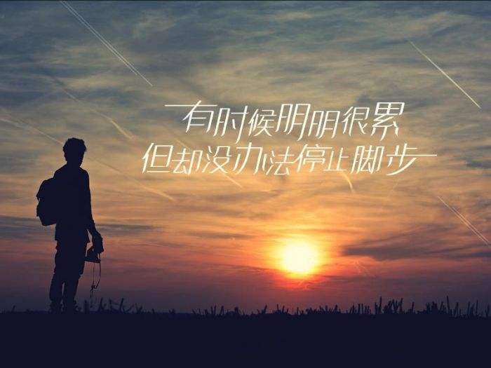 英语大闹互联网读后感