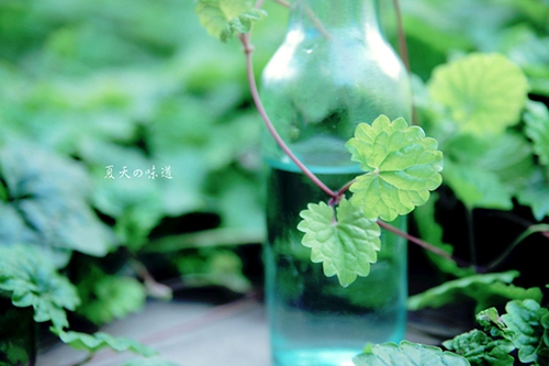 描写火车进站的句子150字