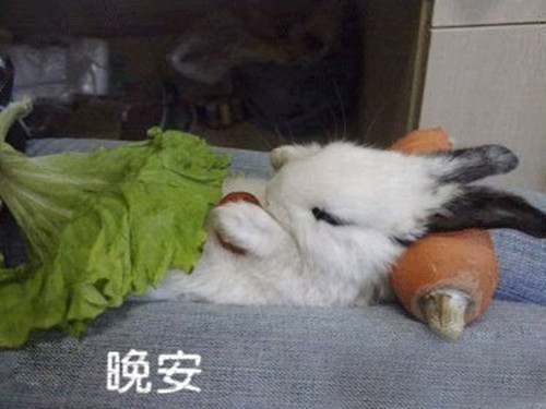 拯救老爸大行动读后感