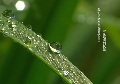 精卫填海演讲稿50字
