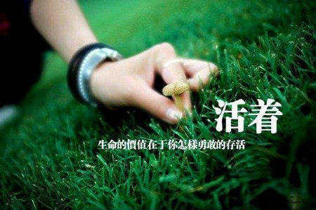 海南尖峰岭热带雨林导游词