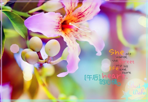 描写请的动作的句子