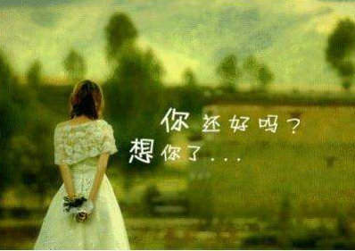 导游词雷州三元塔