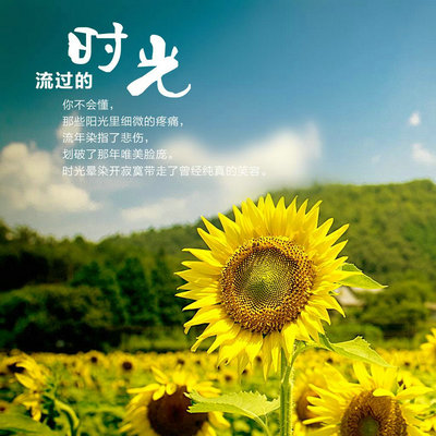 名言名句坚着格式
