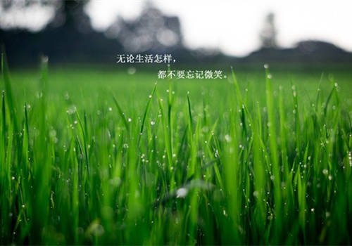 一篇关于联系实际的演讲稿