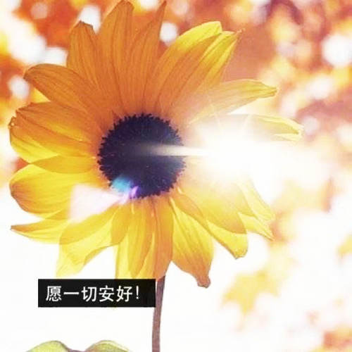 廉洁自律方面的名言