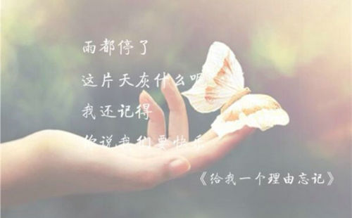 求职dream演讲稿