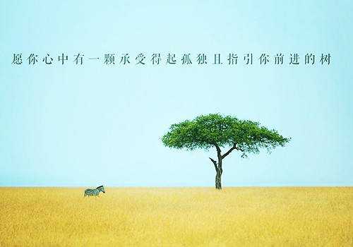 初二语文读后感