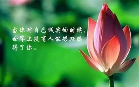 鲁滨逊漂流记电影精彩台词