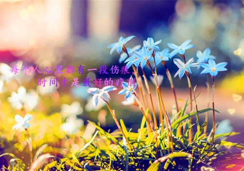 保护环境拯救地球的演讲稿