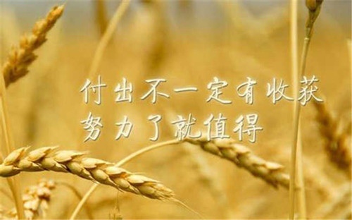 初三读后感800字