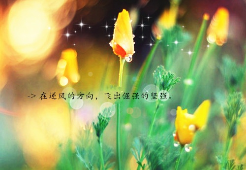 线上扫墓演讲稿
