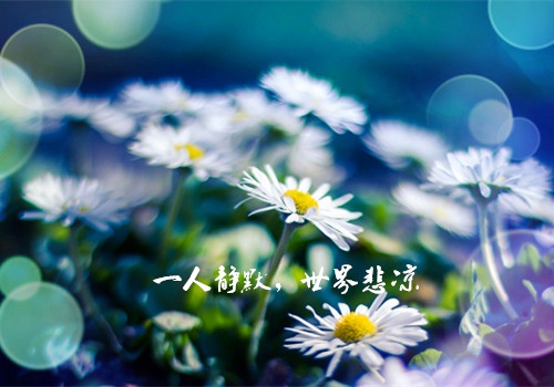 走进校园活动演讲稿