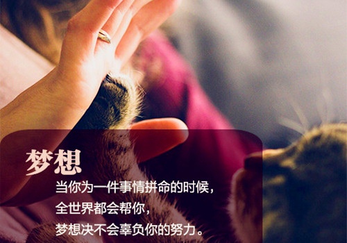 中学生升国旗演讲稿考试