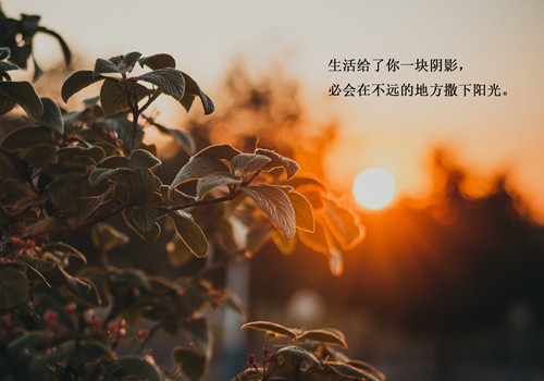 车载空气净化器演讲稿