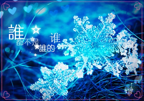 整容的狗读后感
