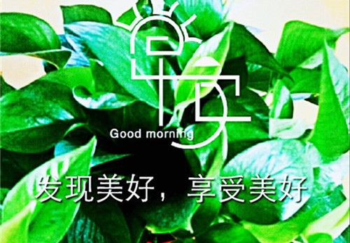 画一幅有名人名言和故事的手c