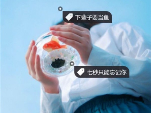 我为幼教做贡献演讲稿