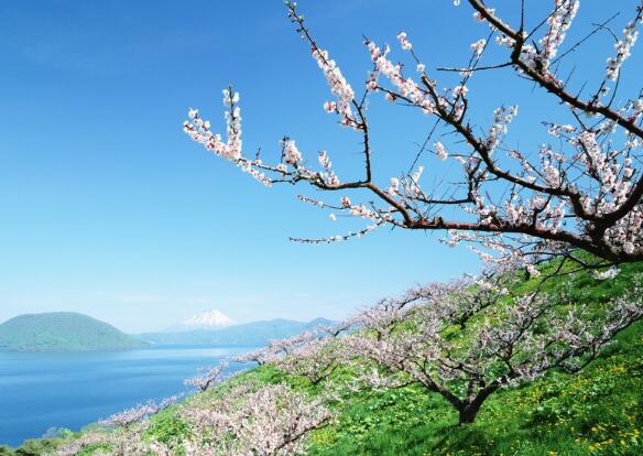 谈教育演讲稿的范文