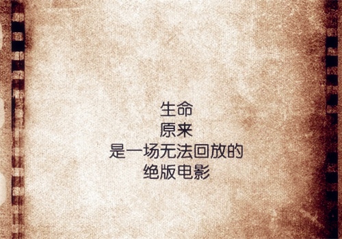 我的职业是老板演讲稿