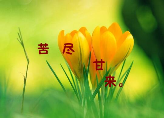 导游词开头作文